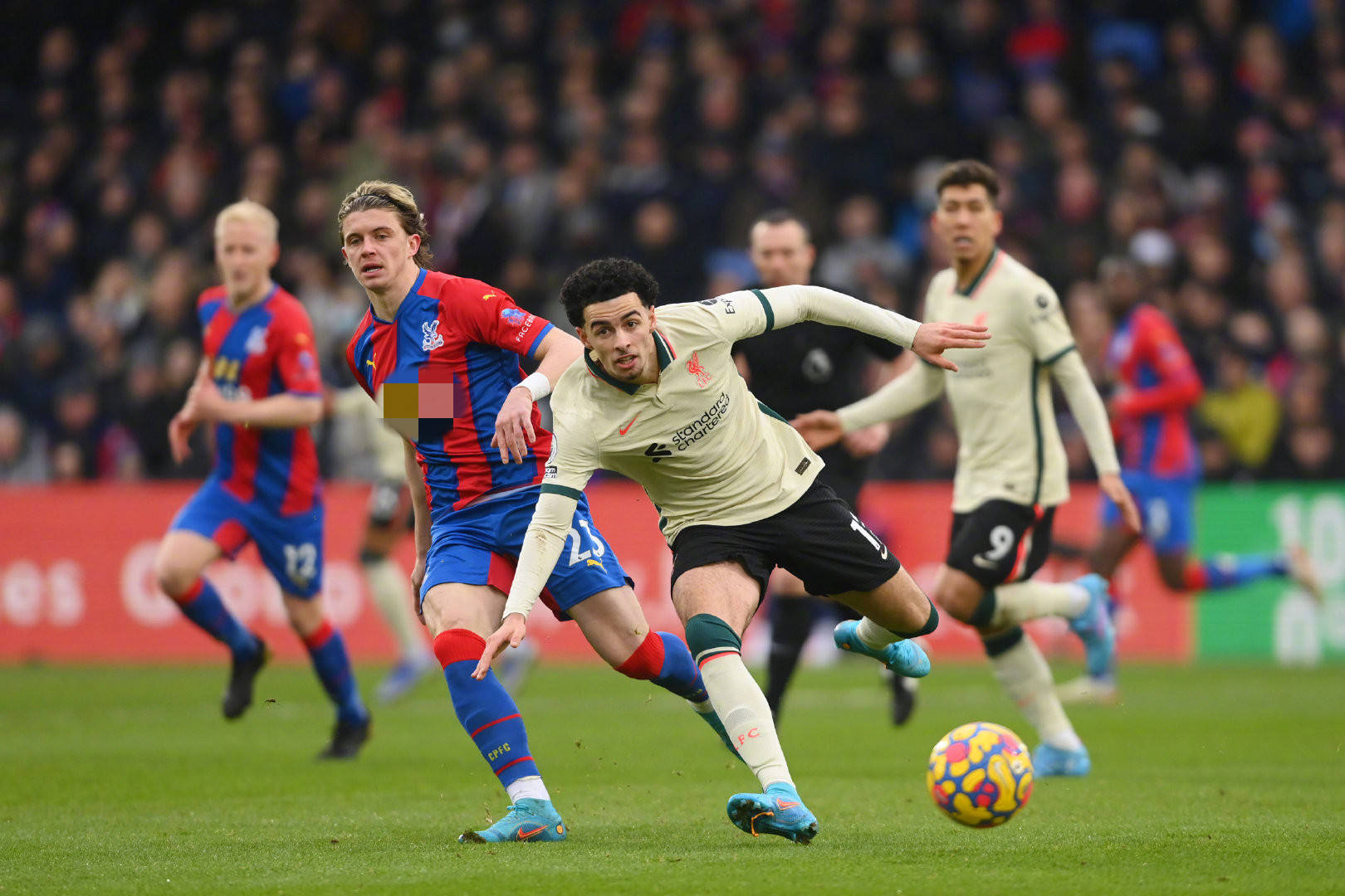 可能会引发 可能会引发